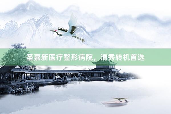 圣嘉新医疗整形病院，清秀转机首选