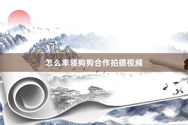 怎么率领狗狗合作拍摄视频