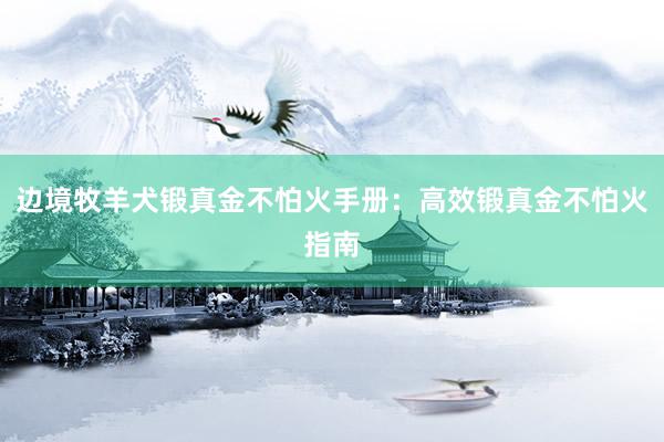 边境牧羊犬锻真金不怕火手册：高效锻真金不怕火指南